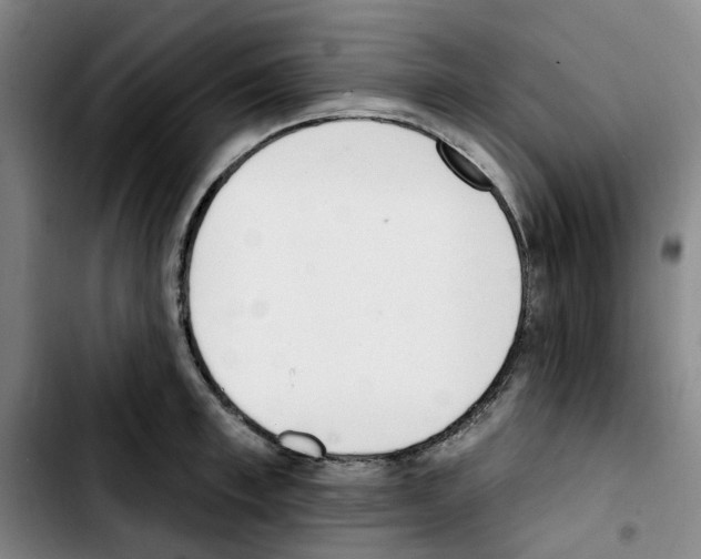 X0000103420997200810241030