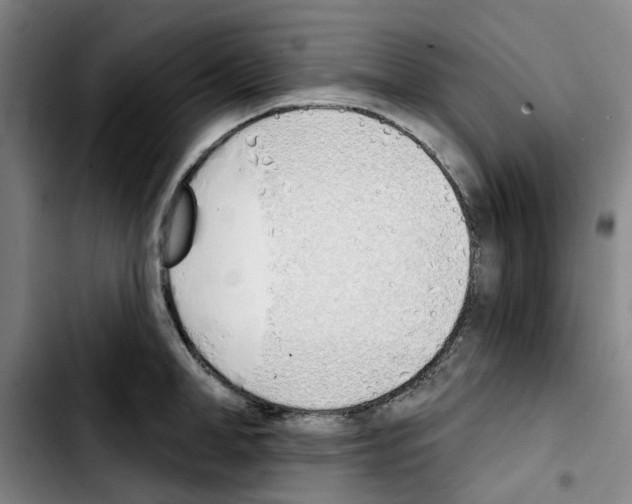 X0000103420998200810241030