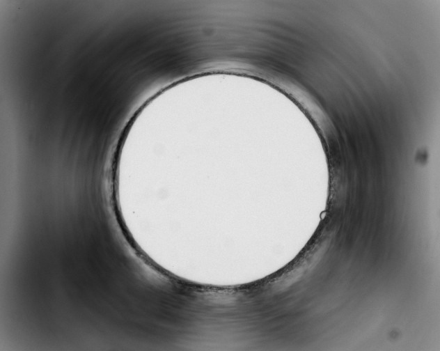 X0000103420999200810241030