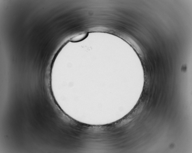 X0000103421000200810241030
