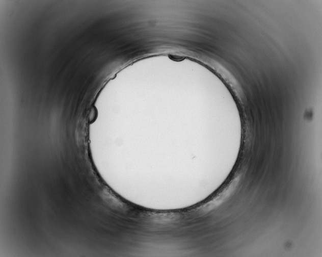 X0000103421001200810241030