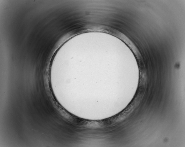 X0000103421002200810241030