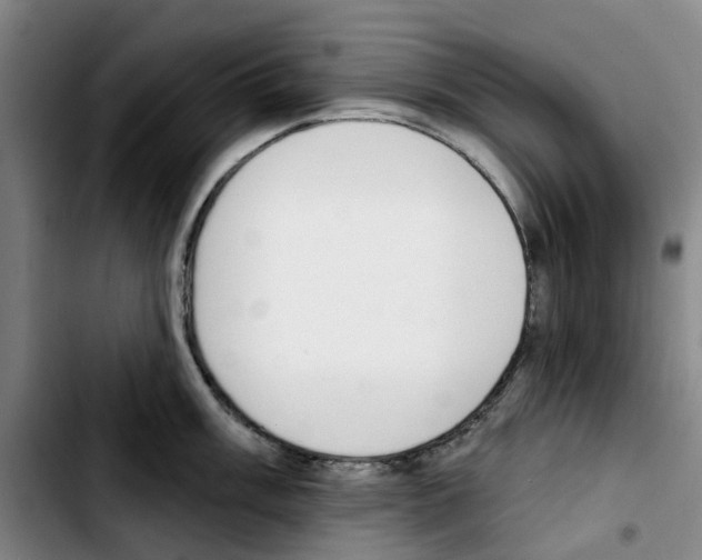 X0000103421003200810241030