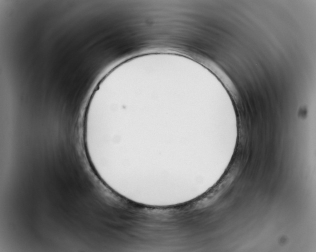 X0000103421004200810241030