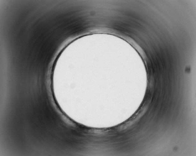 X0000103421005200810241030