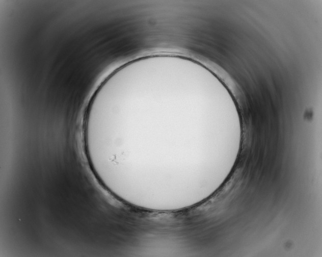 X0000103421006200810241030