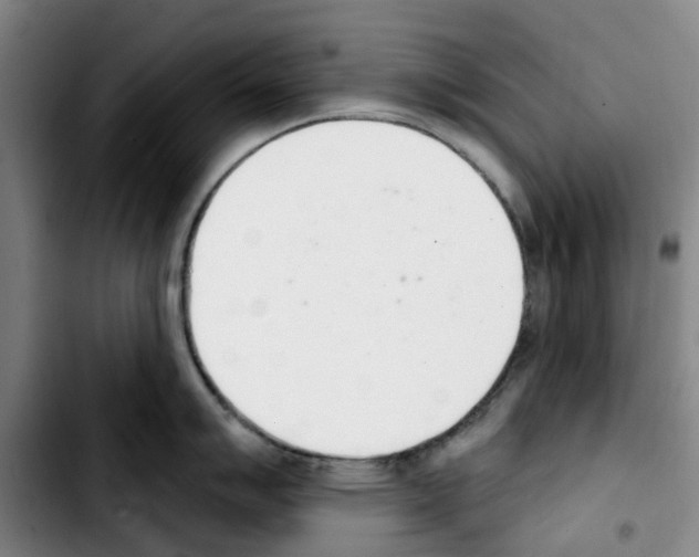 X0000103421007200810241030