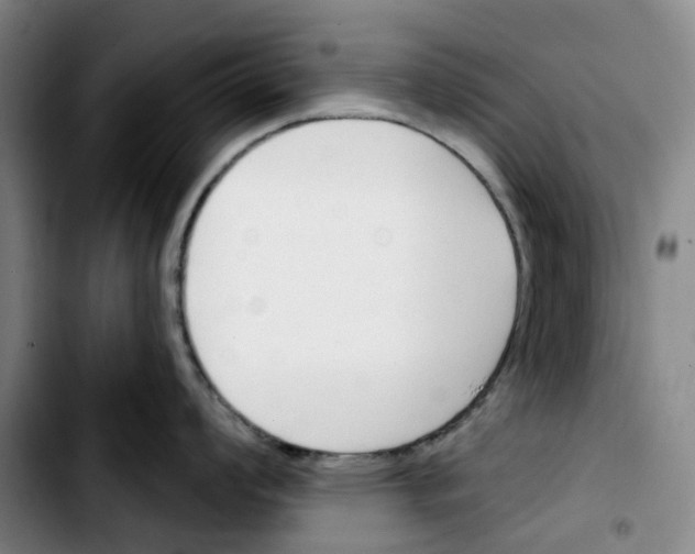 X0000103421008200810241030