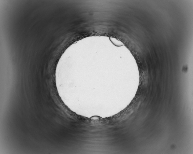 X0000103421009200810241029