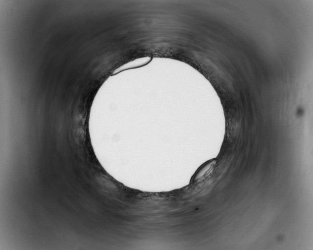 X0000103421010200810241029