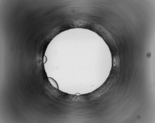 X0000103421011200810241029