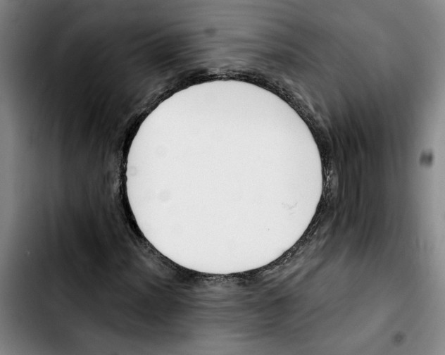 X0000103421012200810241029