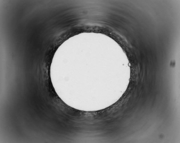 X0000103421013200810241029