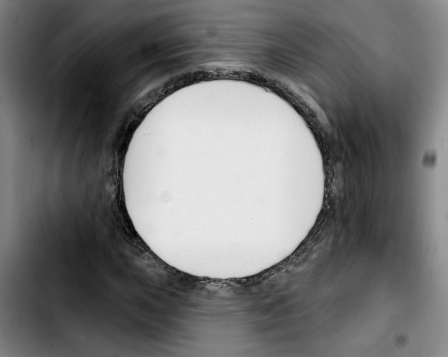 X0000103421015200810241029