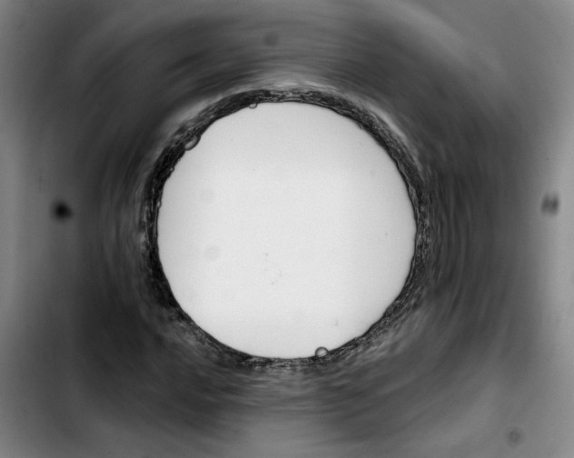 X0000103421016200810241029