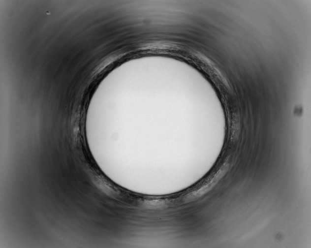 X0000103421017200810241029