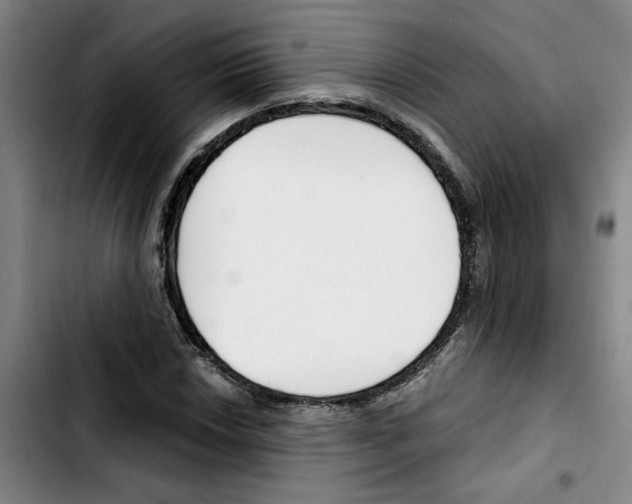 X0000103421018200810241029