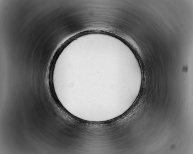 X0000103421020200810241029