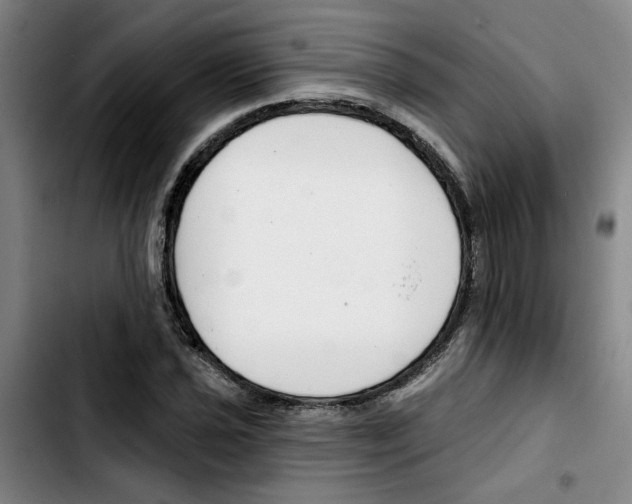 X0000103421021200810241029