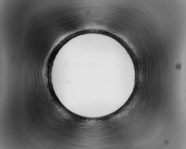 X0000103421022200810241029