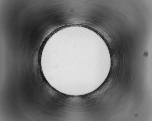 X0000103421023200810241029