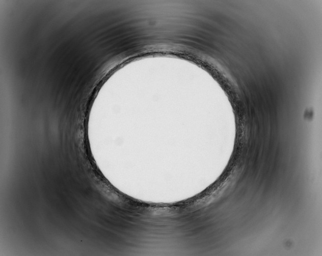 X0000103421025200810241029