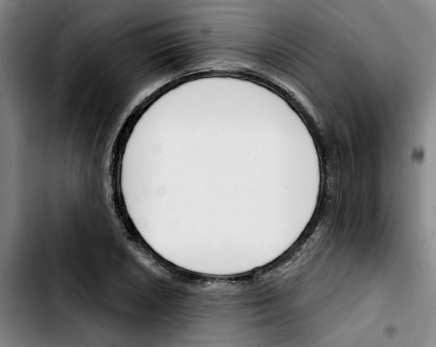 X0000103421026200810241029