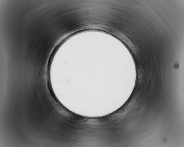 X0000103421028200810241029