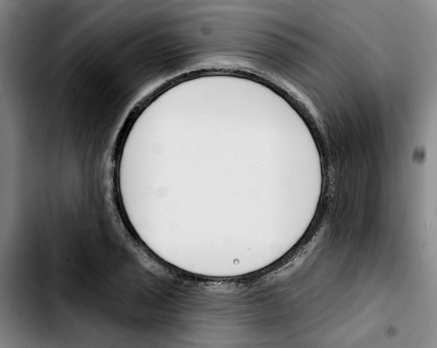 X0000103421029200810241029