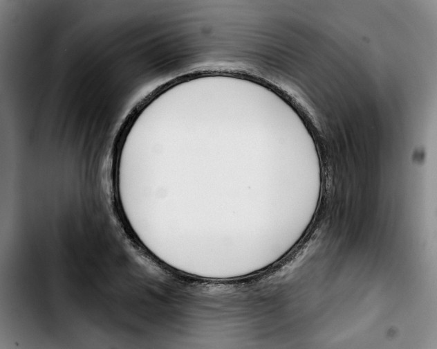 X0000103421030200810241029