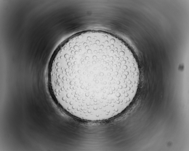 X0000103421032200810241029