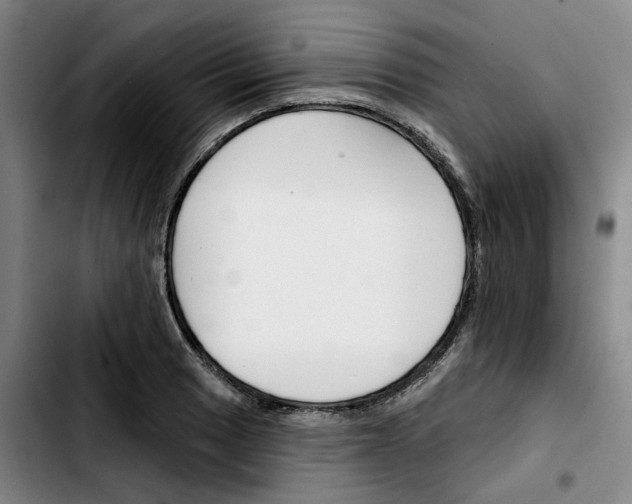 X0000103421033200810241029
