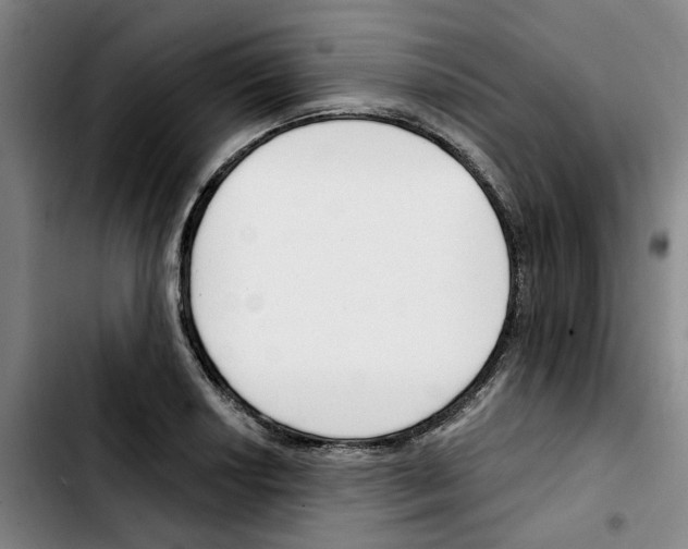 X0000103421034200810241029