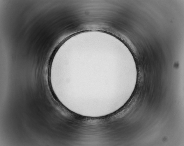 X0000103421035200810241029
