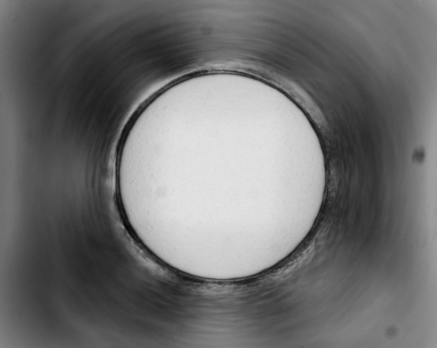 X0000103421036200810241029
