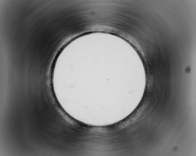 X0000103421037200810241029