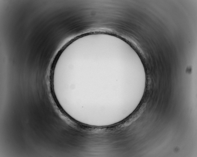 X0000103421038200810241029