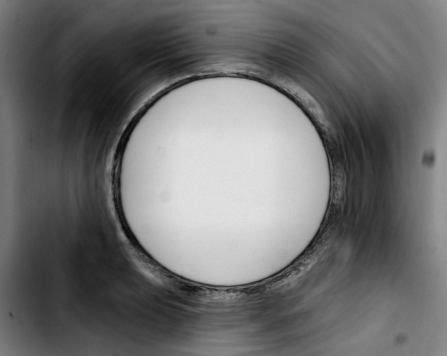 X0000103421039200810241029