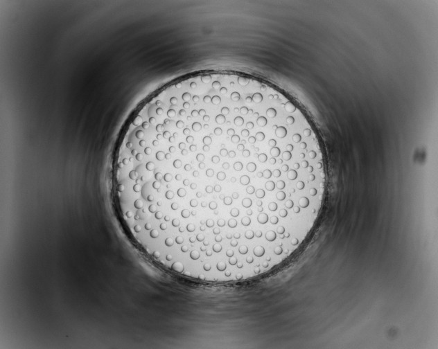 X0000103421040200810241029