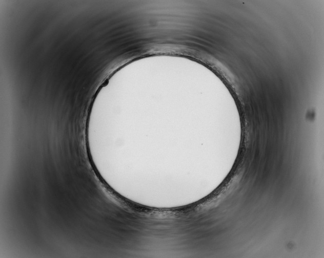 X0000103421041200810241029