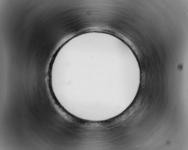 X0000103421042200810241029
