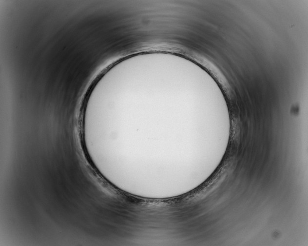 X0000103421043200810241029