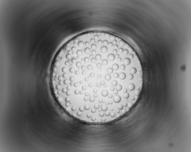 X0000103421044200810241029