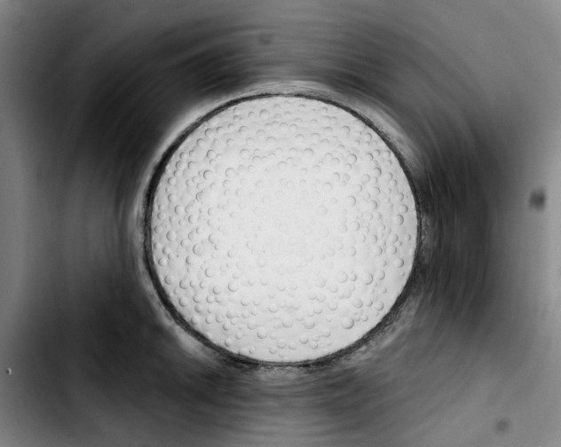 X0000103421046200810241030