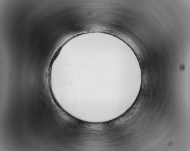 X0000103421047200810241030