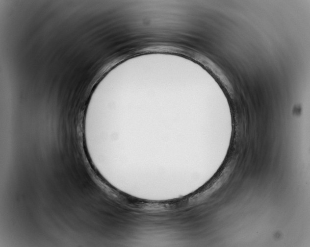 X0000103421049200810241030