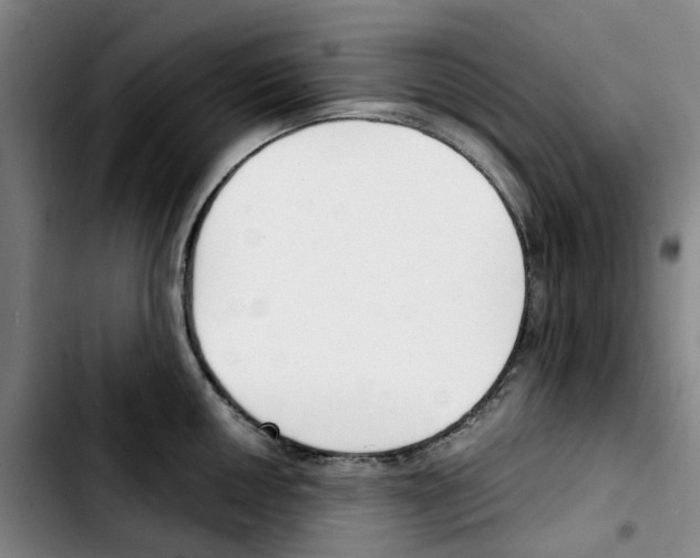X0000103421050200810241030