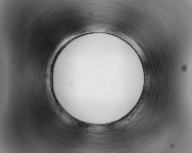 X0000103421051200810241030
