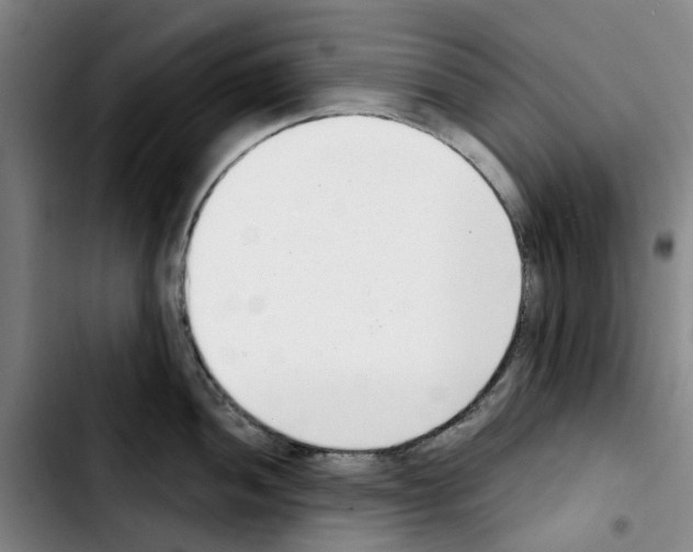 X0000103421052200810241030