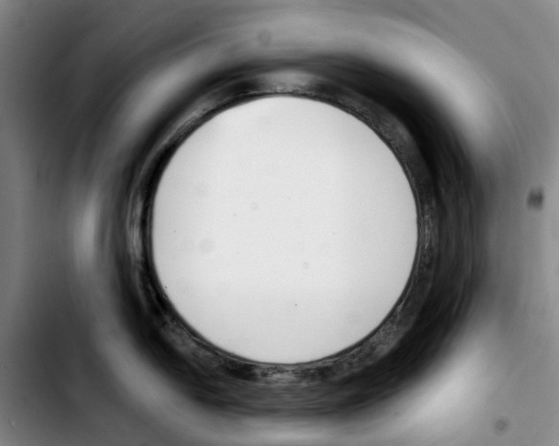 X0000103421054200810241030